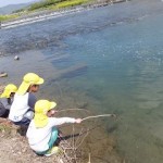 ひかり組　出雲路橋お散歩