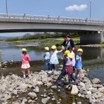 ひかり組　出雲路橋お散歩