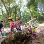 ひよこ組　神社へお散歩