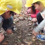 ことり組　下鴨神社へお散歩