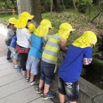 ことり組　下鴨神社へお散歩