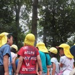 ひかりぐみ　下鴨神社で川あそび