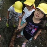 ひかりぐみ　下鴨神社で川あそび