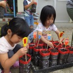 ことり組　大根の種植え　と　ニラの収穫（ちぢみを食べたよ）