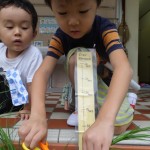 ことり組　大根の種植え　と　ニラの収穫（ちぢみを食べたよ）