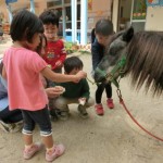 移動動物園 １０月９日（金）