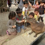 移動動物園 １０月９日（金）