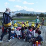 ひよこ組　賀茂川（出雲路橋）へお散歩　１０月１３日（火）