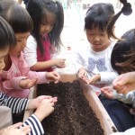 ことり組　ほうれん草の種植え　１０月１４日（水）