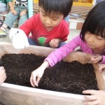 ことり組　ほうれん草の種植え　１０月１４日（水）