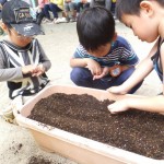 ことり組　ほうれん草の種植え　１０月１４日（水）