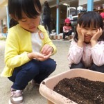 ことり組　ほうれん草の種植え　１０月１４日（水）