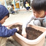 ことり組　ほうれん草の種植え　１０月１４日（水）