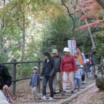 おやじの会　大文字山ハイキング　１１月２３日（月）