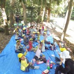 ことり組　大根の収穫＆下鴨神社でお弁当