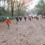 ひよこ組　下鴨神社お散歩 １２月１０日（木）