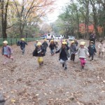 ひよこ組　下鴨神社お散歩 １２月１０日（木）