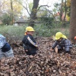 ひよこ組　下鴨神社お散歩 １２月１０日（木）