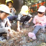 ことり組　大根の収穫＆下鴨神社でお弁当