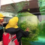 ひかり組　さよなら遠足～京都水族館～ ３月４日（金）