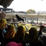 ひかり組　さよなら遠足～京都水族館～ ３月４日（金）