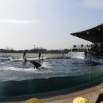 ひかり組　さよなら遠足～京都水族館～ ３月４日（金）