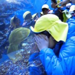 ひかり組　さよなら遠足～京都水族館～ ３月４日（金）