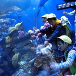 ひかり組　さよなら遠足～京都水族館～ ３月４日（金）