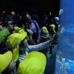 ひかり組　さよなら遠足～京都水族館～ ３月４日（金）