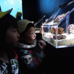 ひかり組　さよなら遠足～京都水族館～ ３月４日（金）