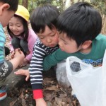 ひよこ組・ことり組　お散歩遠足（植物園）　３月７日（月）