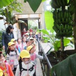 ひよこ組・ことり組　お散歩遠足（植物園）　３月７日（月）