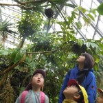 ひよこ組・ことり組　お散歩遠足（植物園）　３月７日（月）