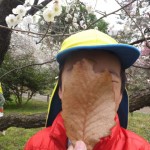 ひよこ組・ことり組　お散歩遠足（植物園）　３月７日（月）