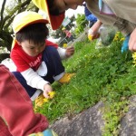 ことり組お散歩  4月22日（金）