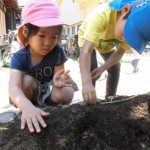 ひかり組　さつまいも と きゅうりの苗植え 5月13日(金）