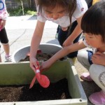 ひかり組　さつまいも と きゅうりの苗植え 5月13日(金）