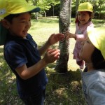 ひかり組　乗馬体験　５月１８日(水）