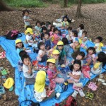 ひよこ組 下鴨神社へ遠足気分でお散歩　7月4日（月）