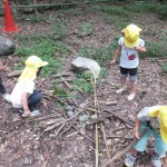 ひよこ組 下鴨神社へ遠足気分でお散歩　7月4日（月）