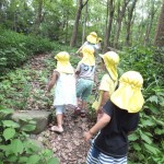 ひよこ組 下鴨神社へ遠足気分でお散歩　7月4日（月）