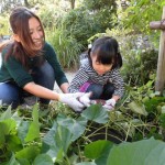 ひかり組　おいもほり　１０月２７日（木）