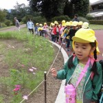 お散歩遠足２０１６年１０月１４日