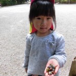 ひよこ、ひかり組　下鴨神社お散歩　11月１６日（水）