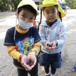 ひよこ、ひかり組　下鴨神社お散歩　11月１６日（水）