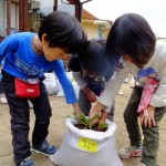 ことり組　屋上ご飯と大根抜き　１１月４日（金）・８日（火）