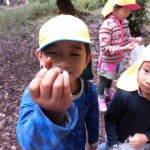 秋の遠足　吉田山　１１月１日（火）