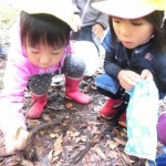 秋の遠足　吉田山　１１月１日（火）