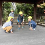 秋の遠足　吉田山　１１月１日（火）