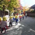 ひよこ、ひかり組　下鴨神社お散歩　11月１６日（水）